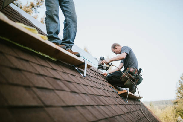 Best Roof Moss and Algae Removal  in USA